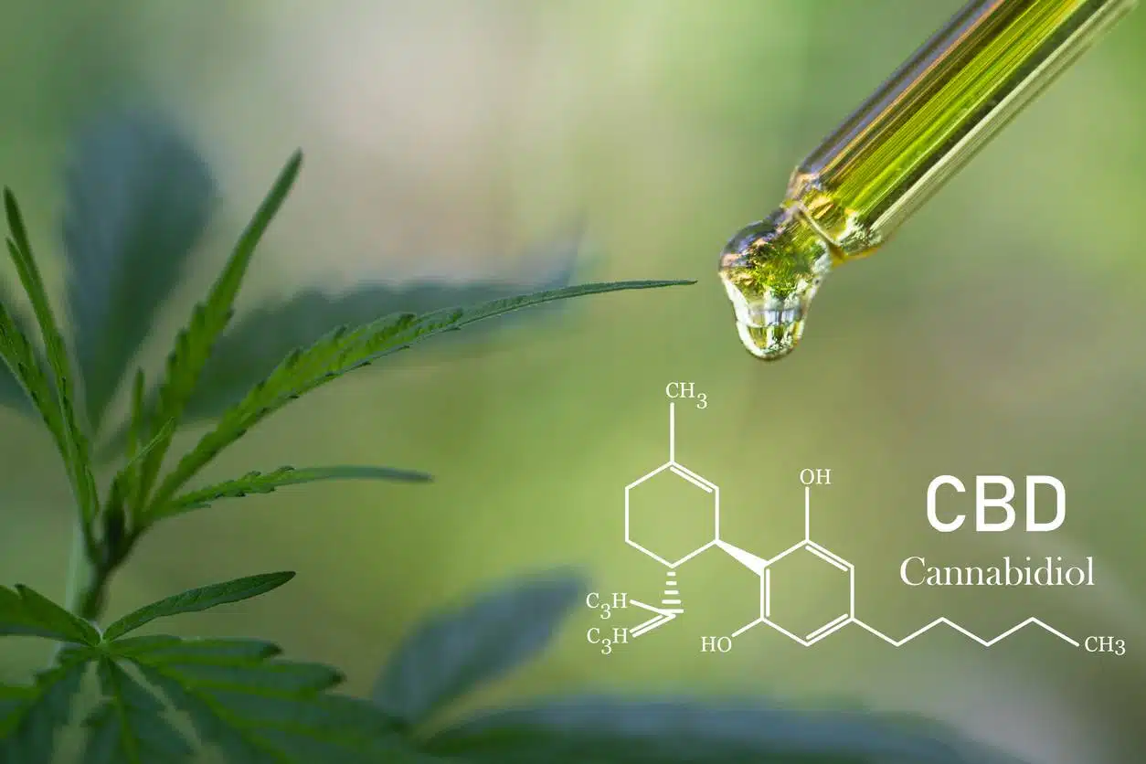 méthode extraction huile de CBD