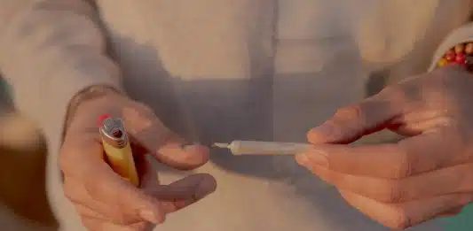 Joints de CBD : peut-on consommer en toute sécurité ?