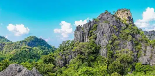 Découvrez les bienfaits du CBD en Espagne