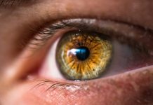 A quel moment consulter un ophtalmologue à Nantes ? A quel moment consulter un ophtalmologue à Nantes ?