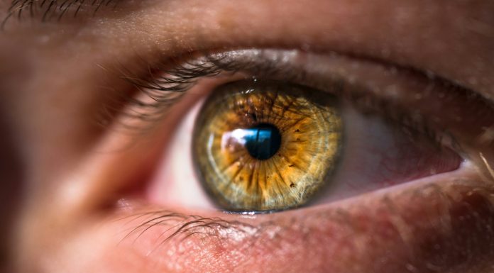 A quel moment consulter un ophtalmologue à Nantes ? A quel moment consulter un ophtalmologue à Nantes ?