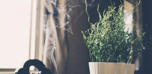 Comment brûler de l’encens à la maison ? Comment brûler de l’encens à la maison ?