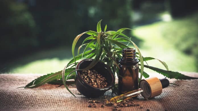 Le CBD : une révolution dans les thérapies naturelles