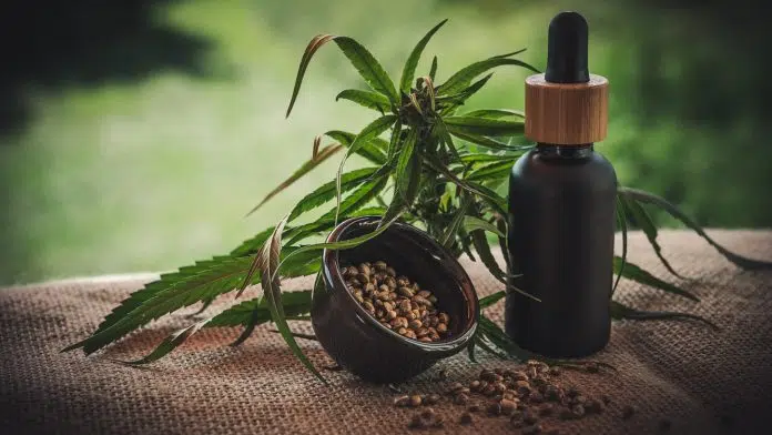 Pourquoi consommer des aliments à base de CBD ?