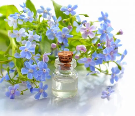 Pourquoi se procurer ses produits cosmétiques sur une plateforme spécialisée ?