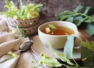 7 remèdes maison simples pour retarder vos règles naturellement retarder vos règles