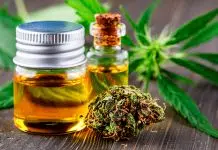 Tout savoir sur le CBD et ses huiles CBD